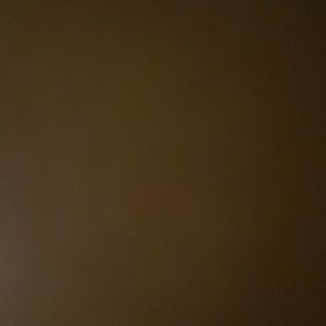 Meet your Posher, Kashon